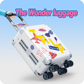 The Wonder luggage